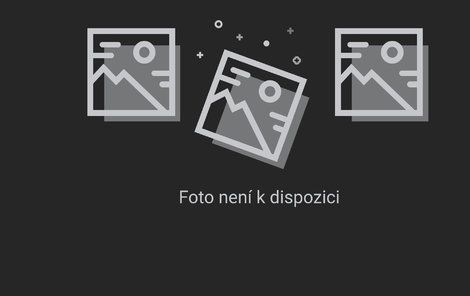 Fotografie Fotografie